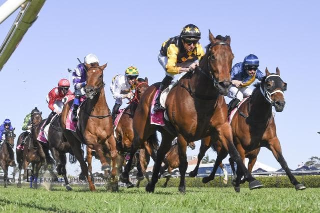 TERRA MATER Takes the Group 3 Tibbie Stakes