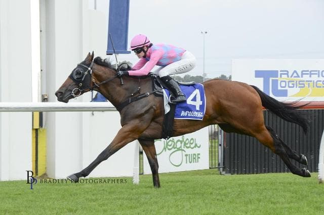 LET'S GO BRO Justifies Favouritism