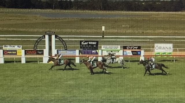 HERMOSA ROSA Wins at Orange