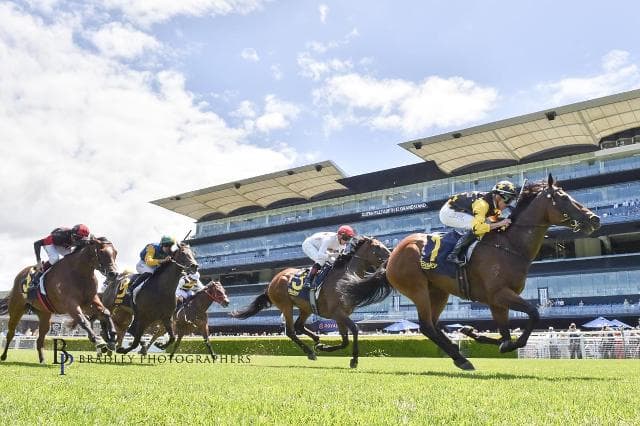 TERRA MATER Continues Her Winning Run