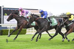 LOOK AT MOI KIM a Rool Winner