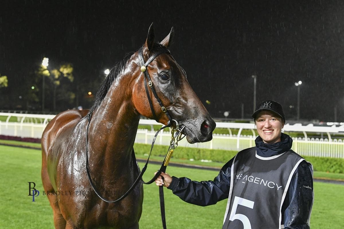 Picture of the author