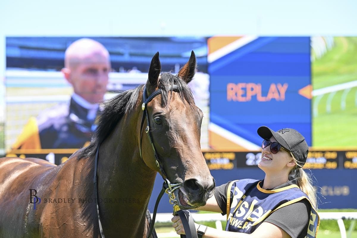 Picture of the author