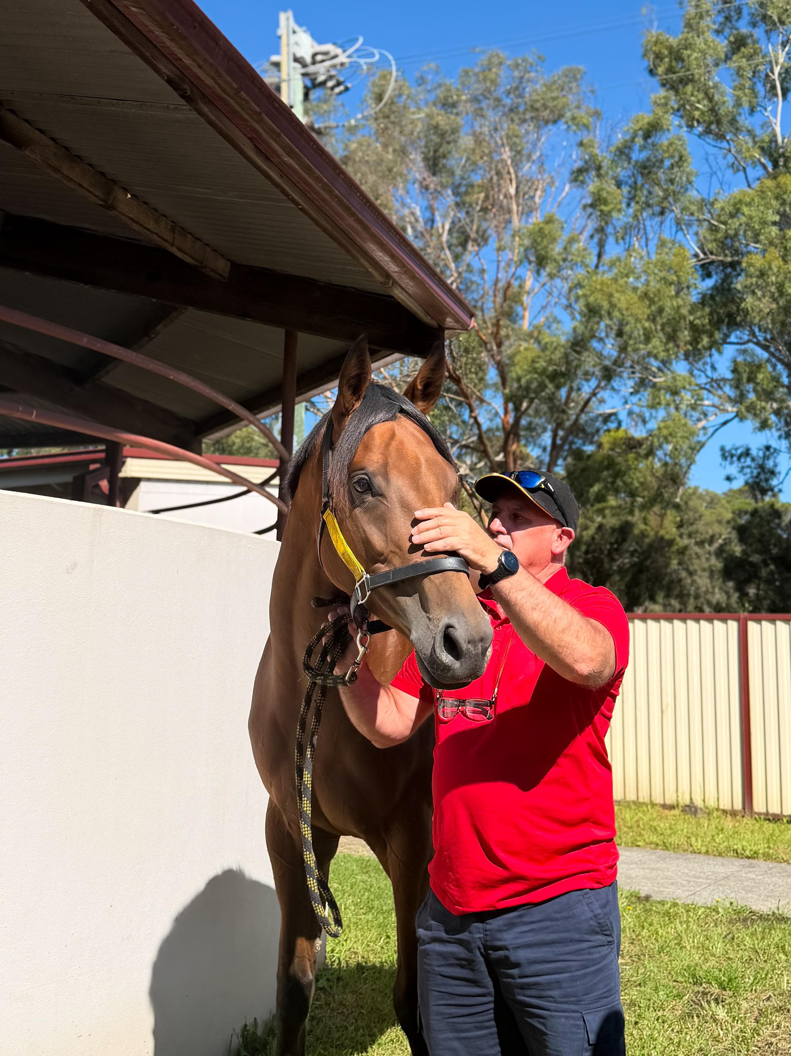 Picture of the author