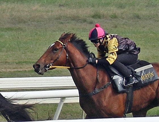 Picture of the author