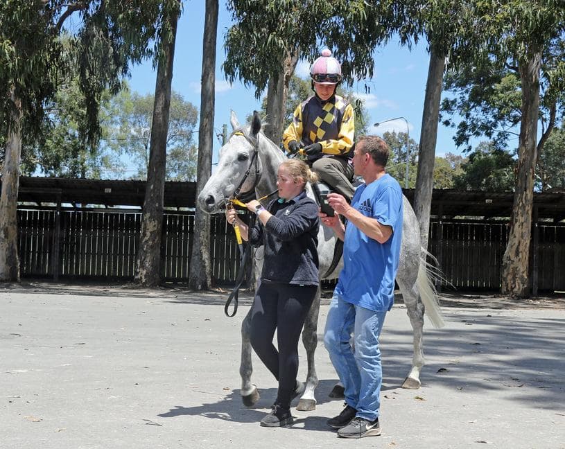 Picture of the author