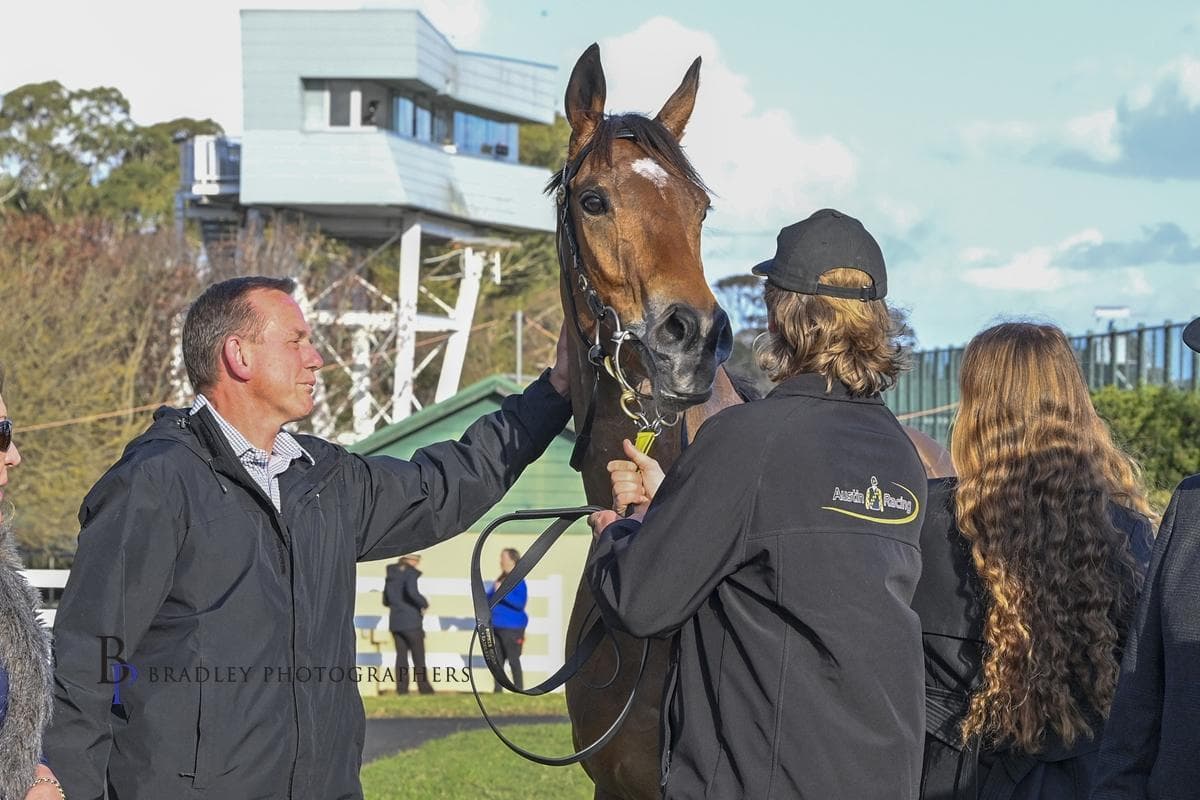 Picture of the author