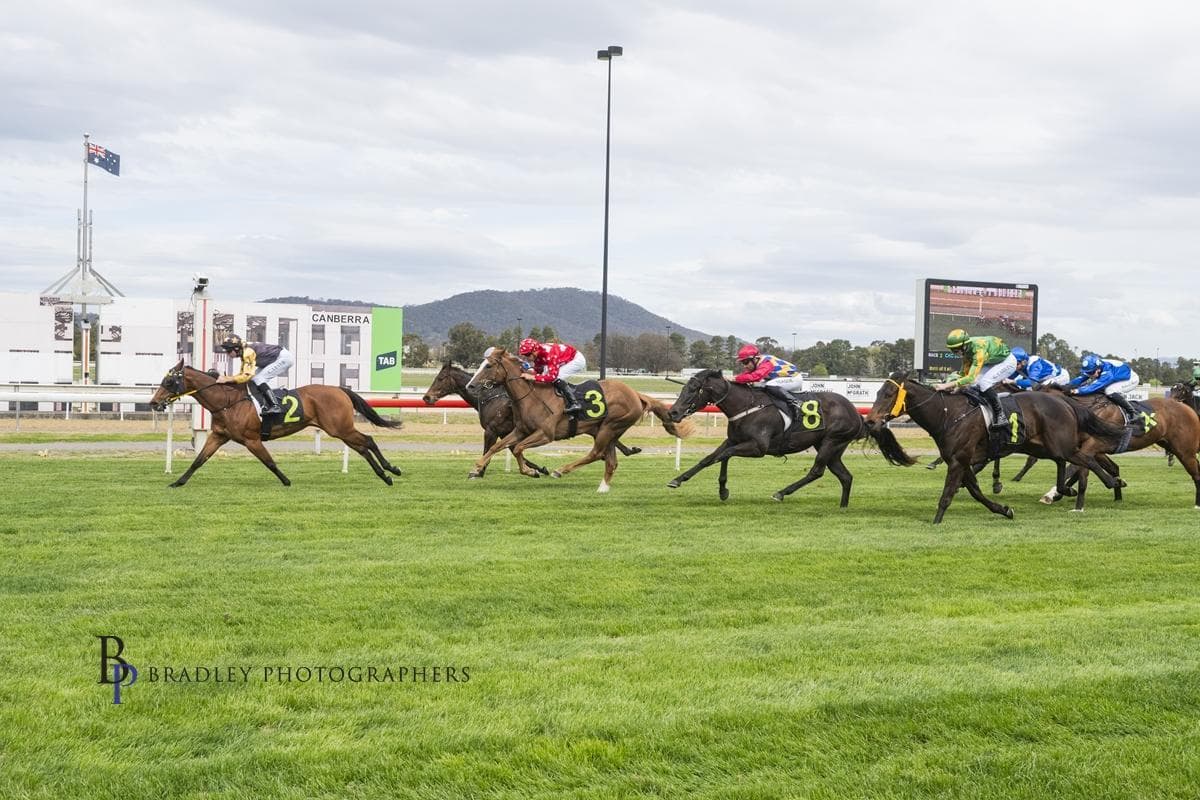 Picture of the author