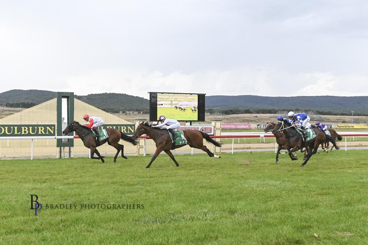 Picture of the author