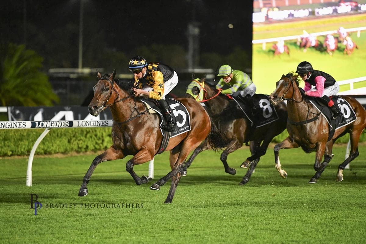 Picture of the author