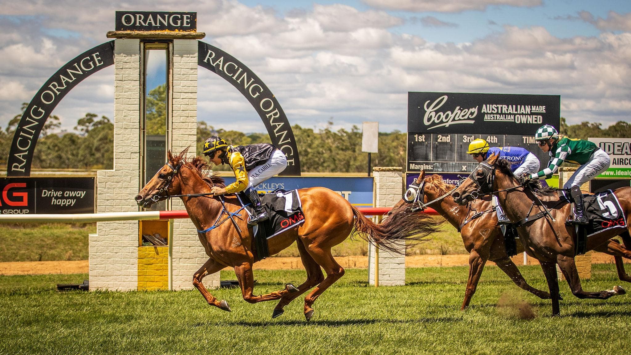 Picture of the author