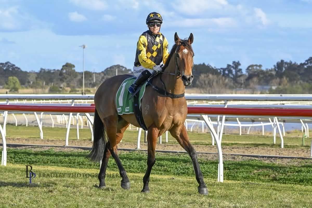 Picture of the author