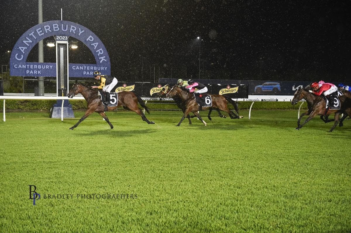 Picture of the author