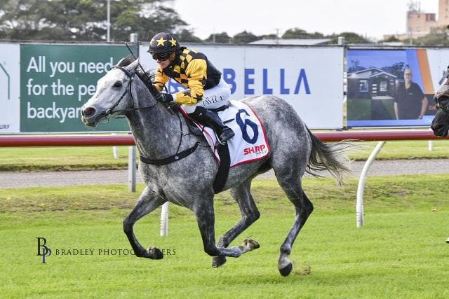 ELEGANT EMPRESS Scores at Newcastle