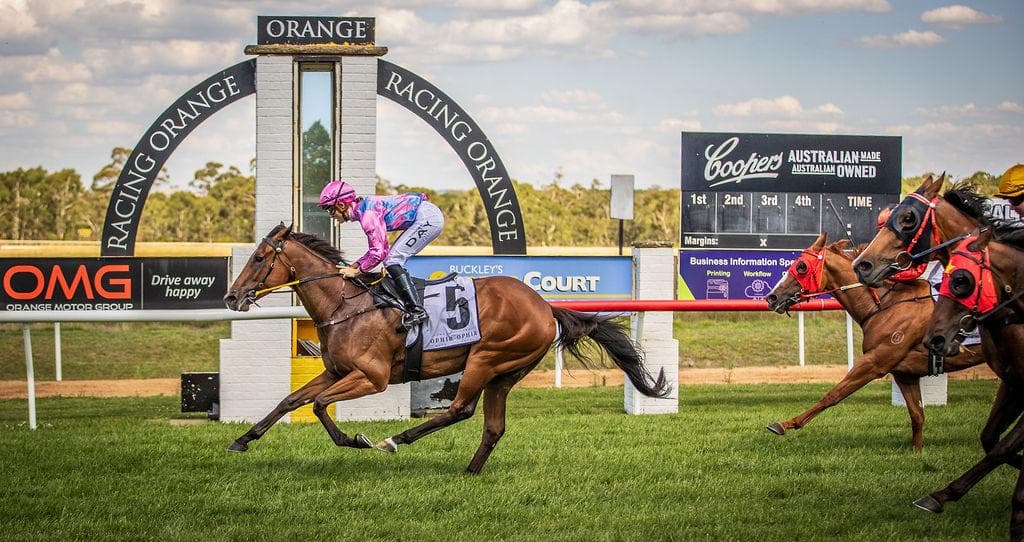 Picture of the author