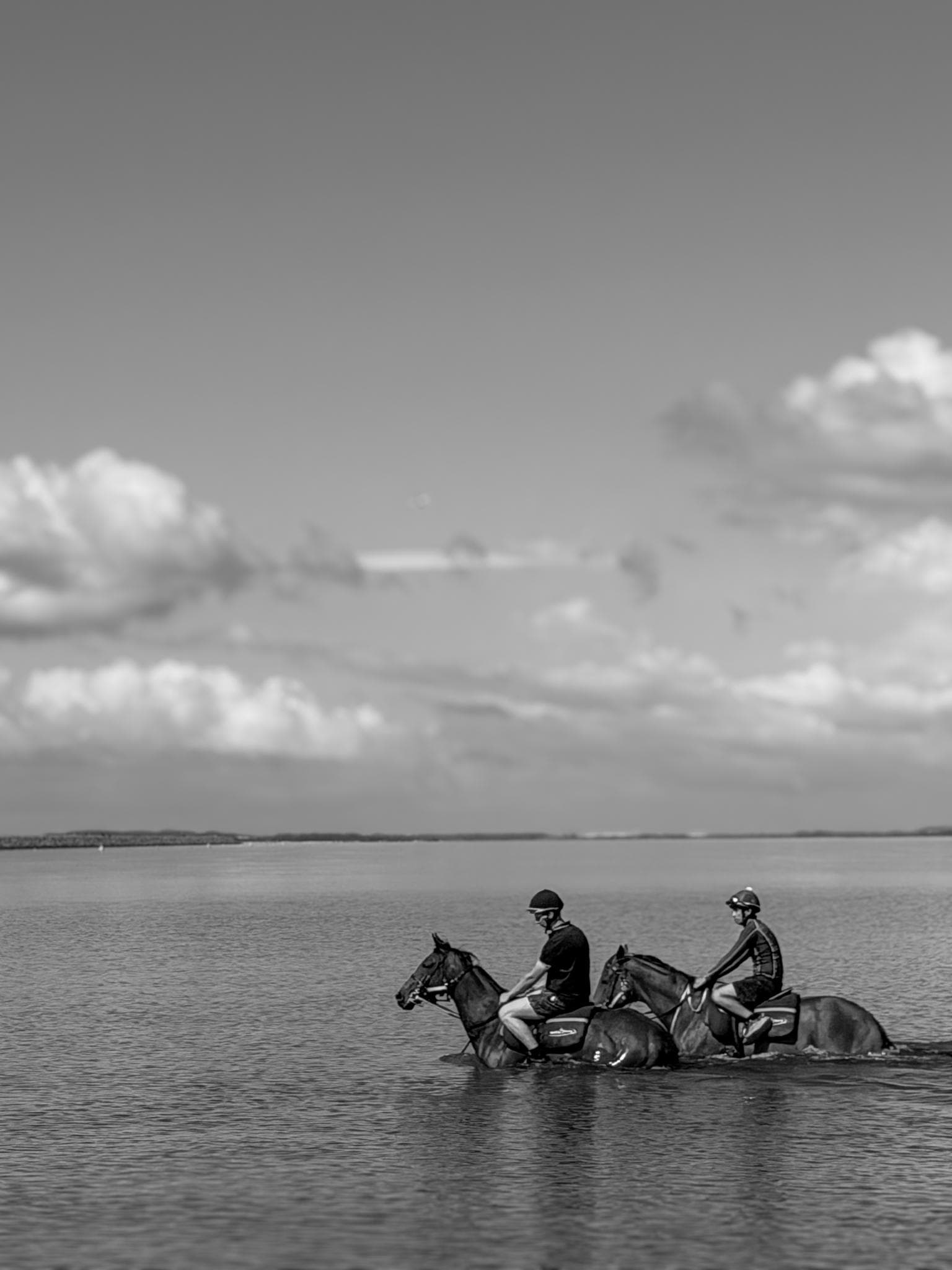 Picture of the author