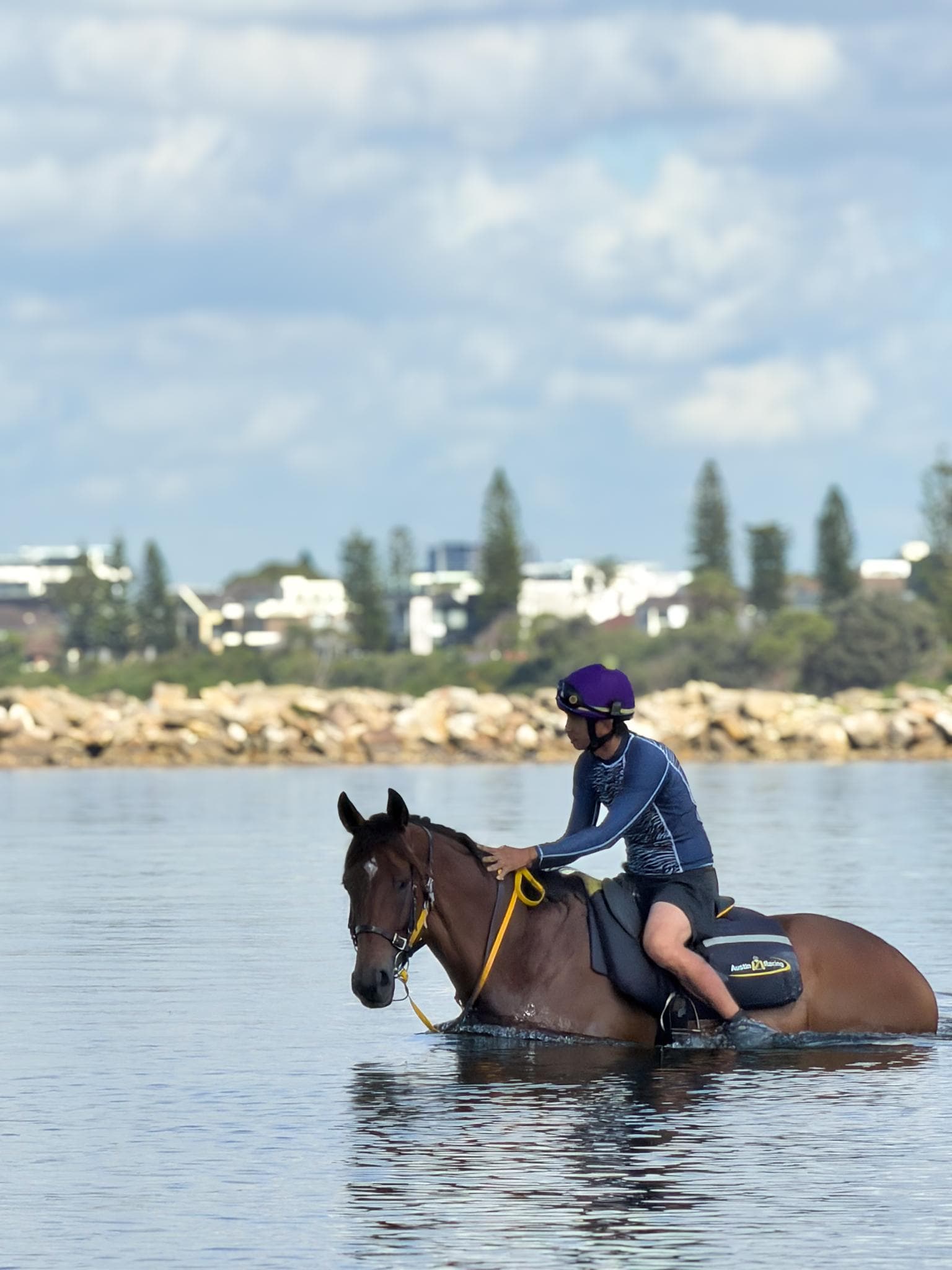 Picture of the author