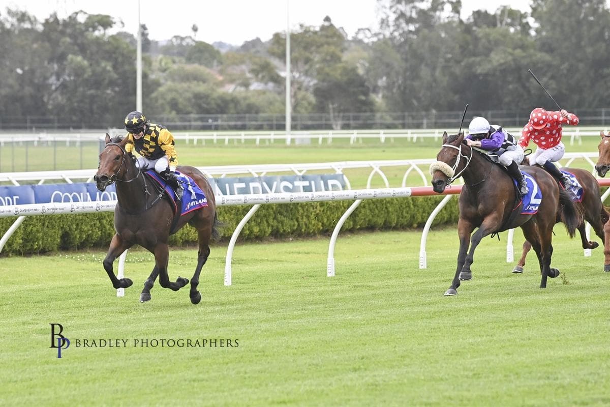 Picture of the author