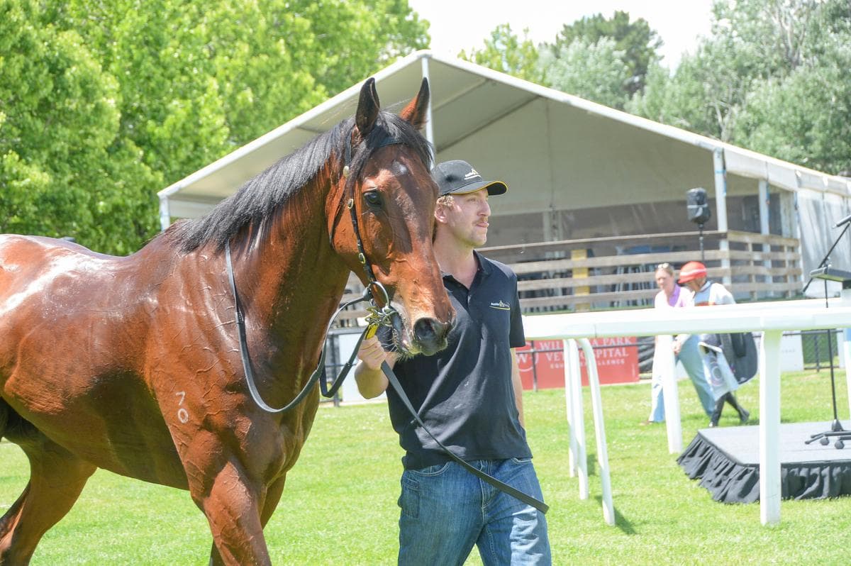 Picture of the author