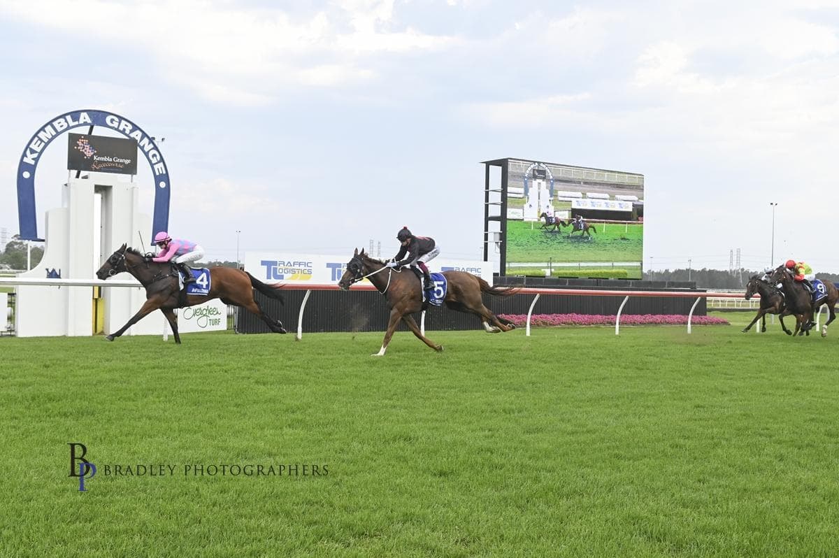 Picture of the author