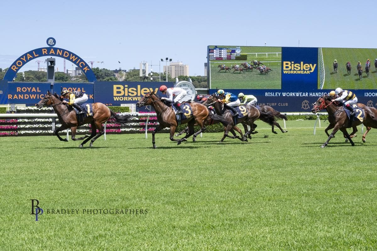 Picture of the author