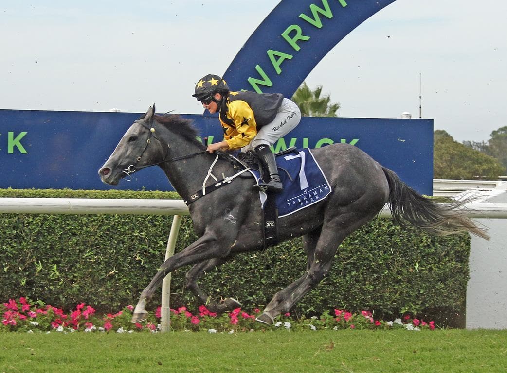 Picture of the author