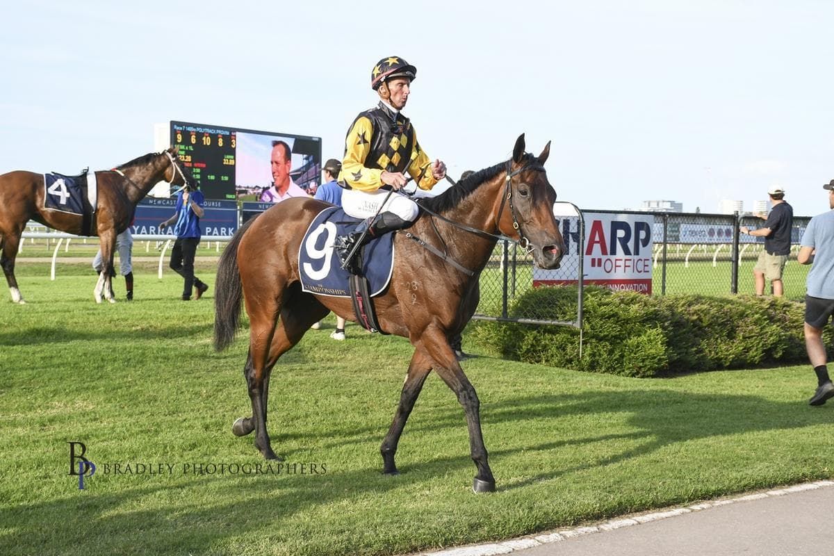 Picture of the author