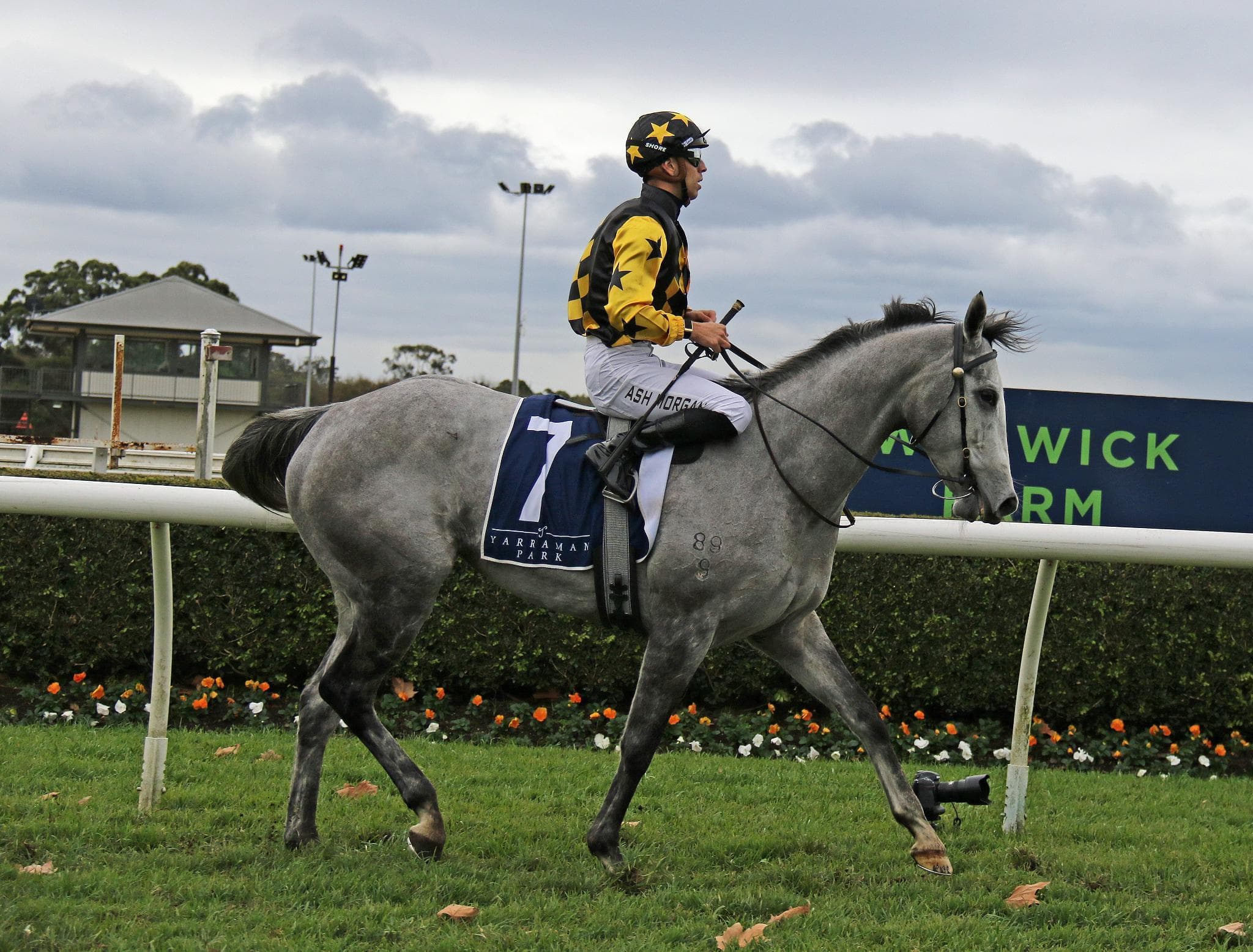 Picture of the author