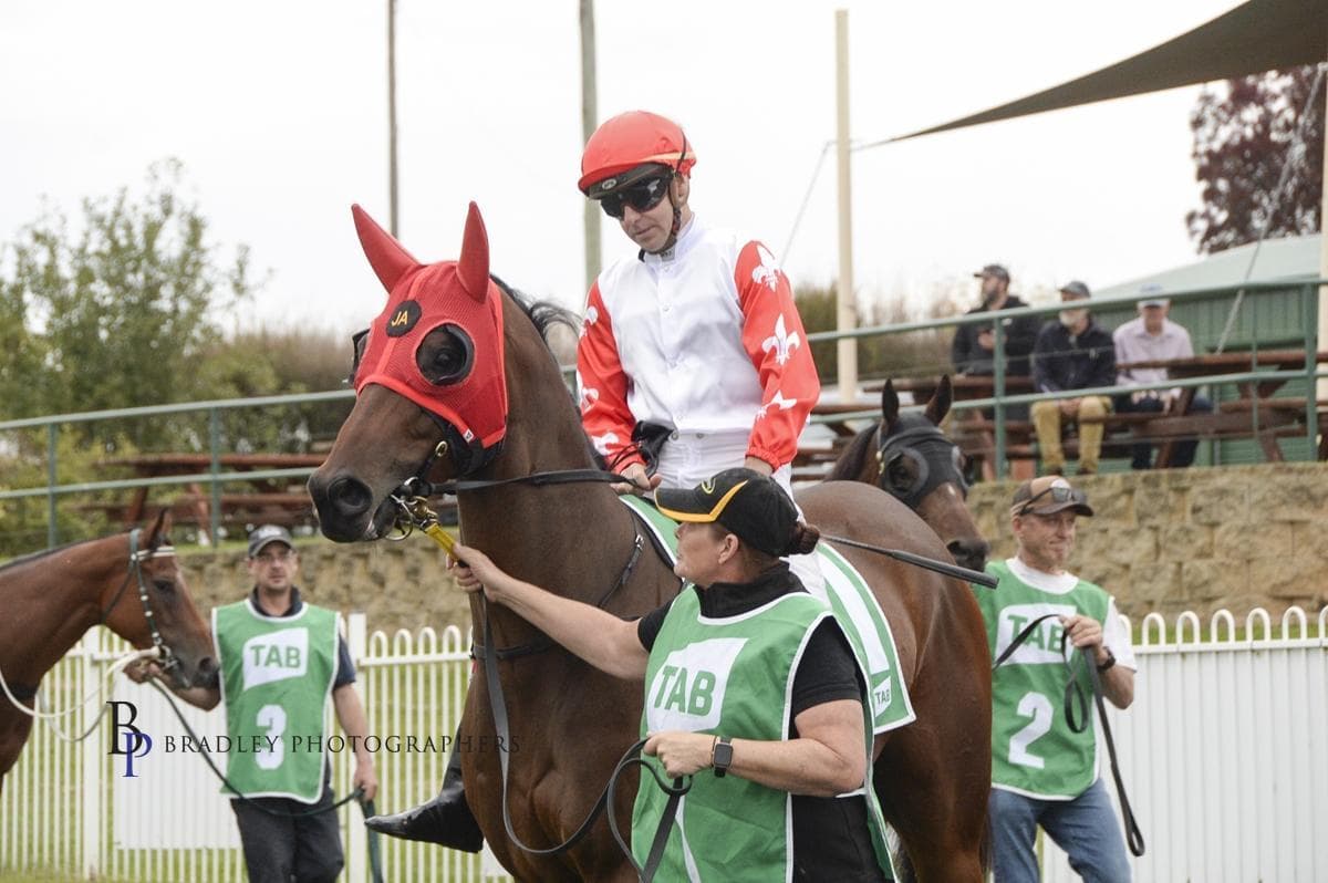 Picture of the author