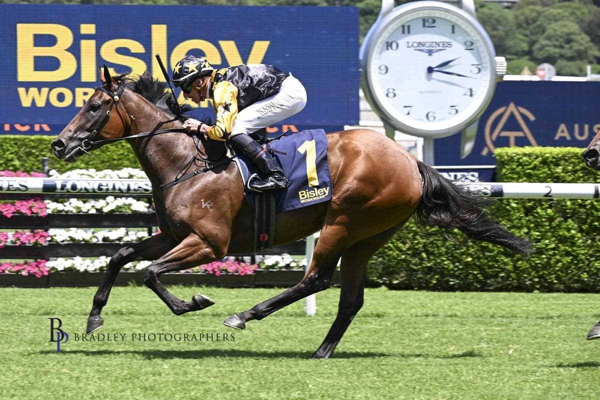 Picture of the author