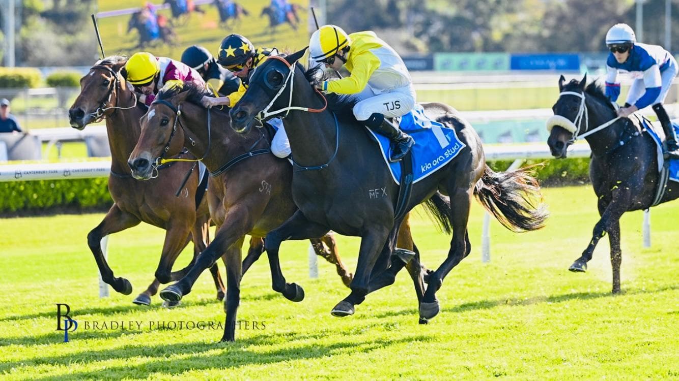 Picture of the author