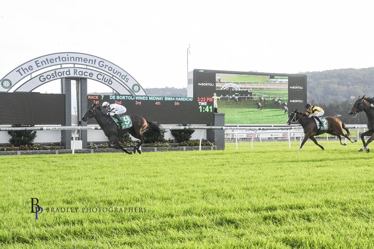 Picture of the author