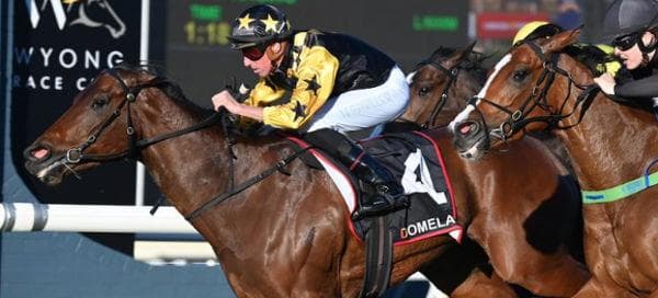 TERRA MATER Snatches Victory in the Mona Lisa Stakes