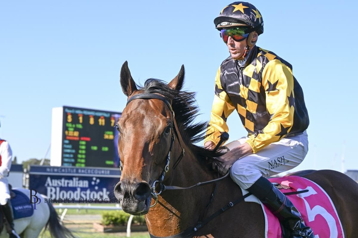 Picture of the author