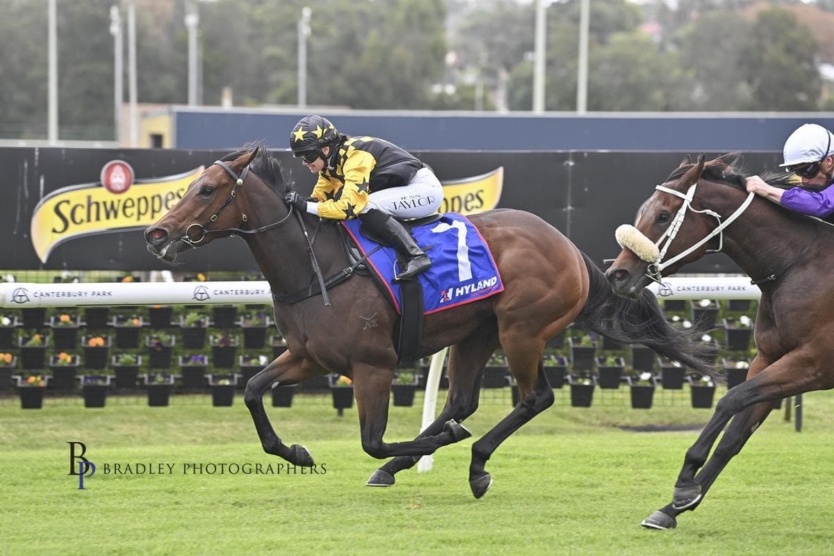 Picture of the author