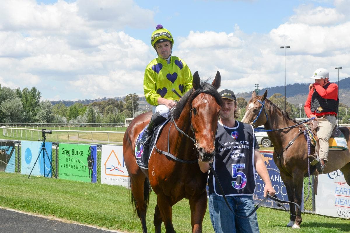 Picture of the author