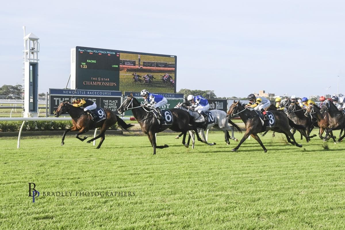 Picture of the author