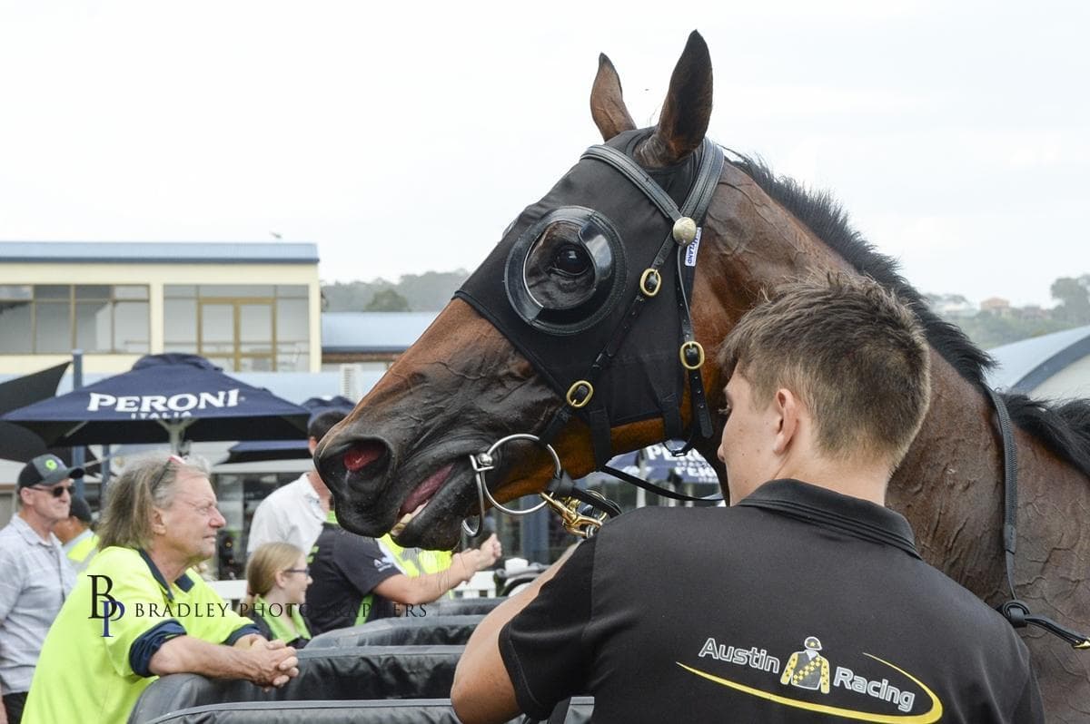 Picture of the author