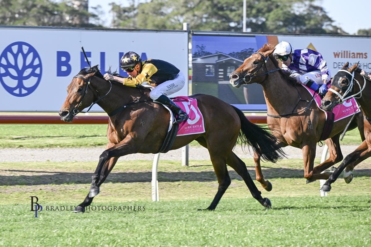 Picture of the author