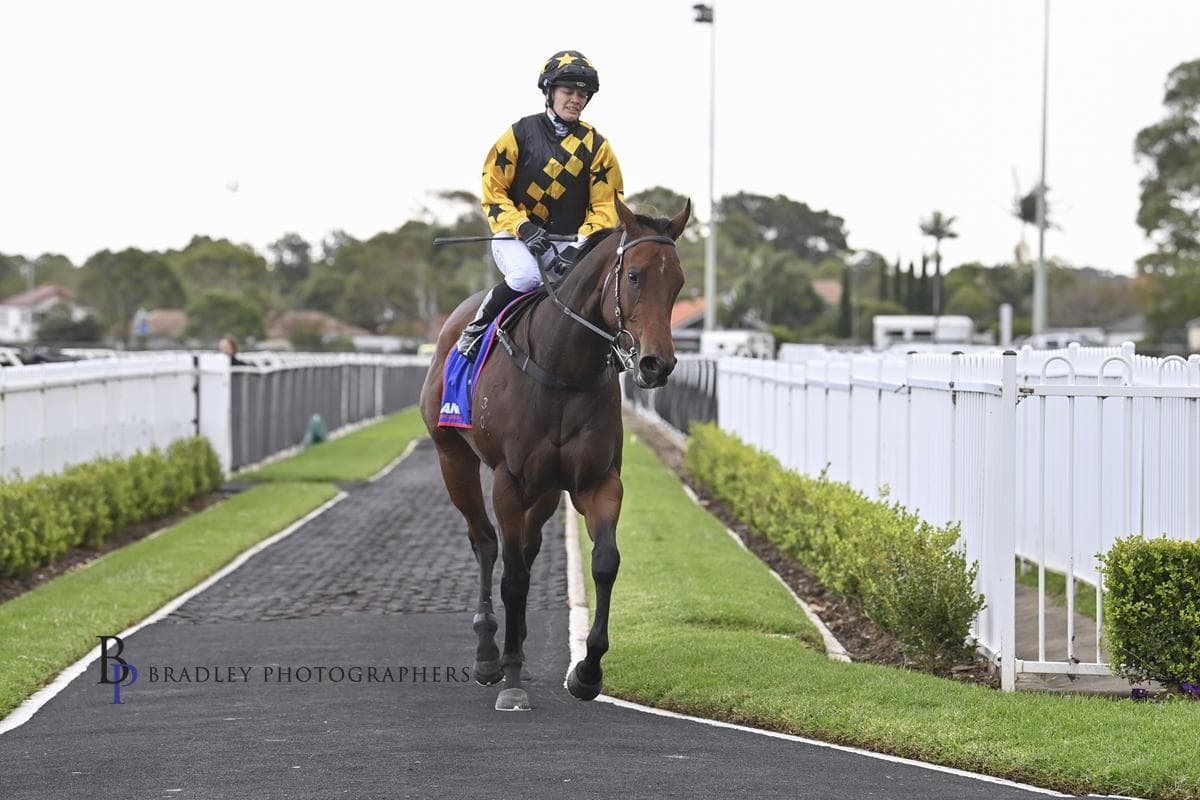 Picture of the author