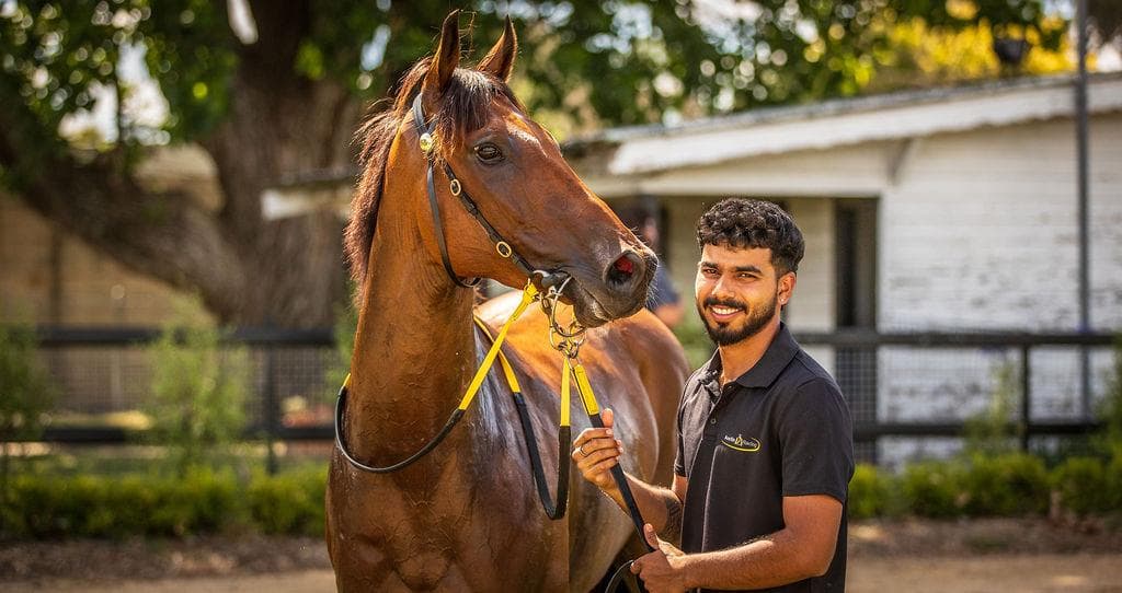 Picture of the author