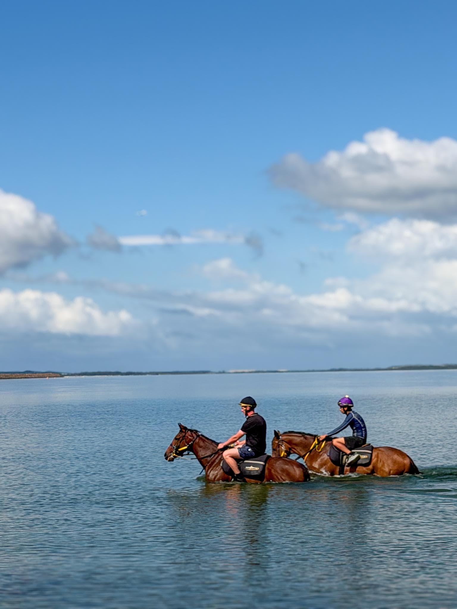 Picture of the author