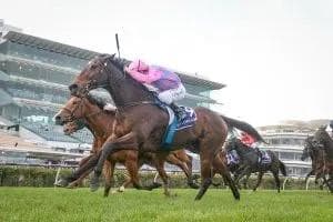 Picture of the author