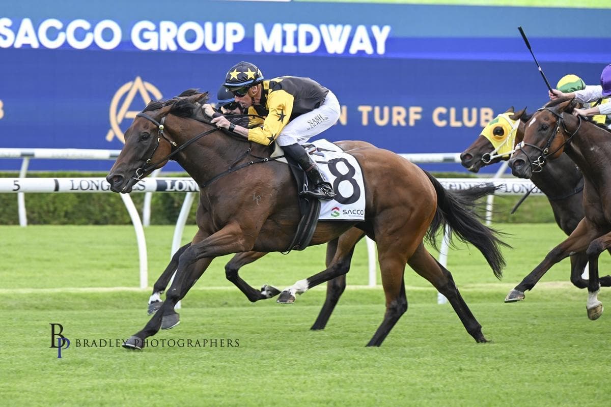 Picture of the author