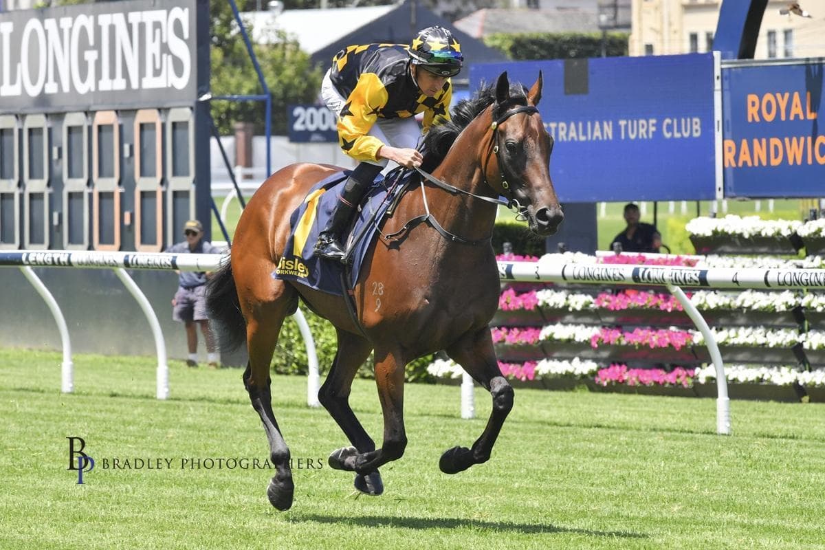 Picture of the author