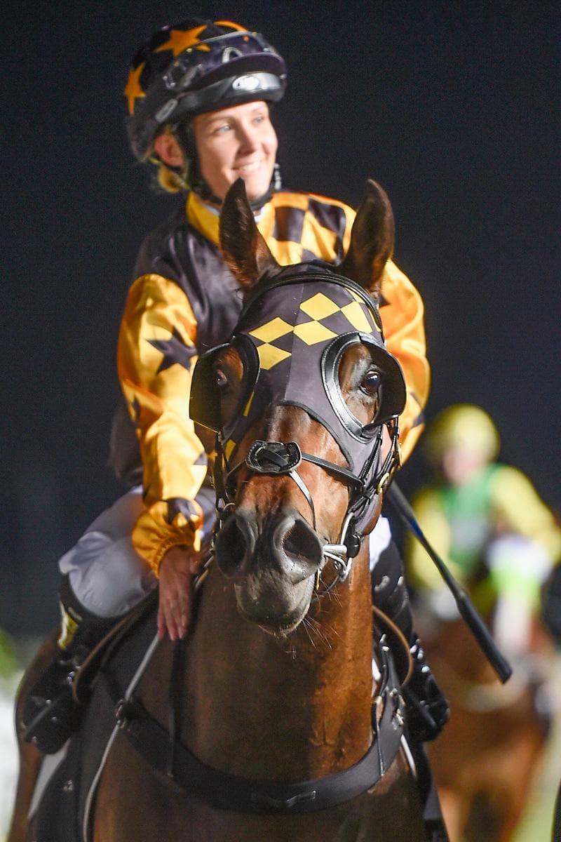 Picture of the author