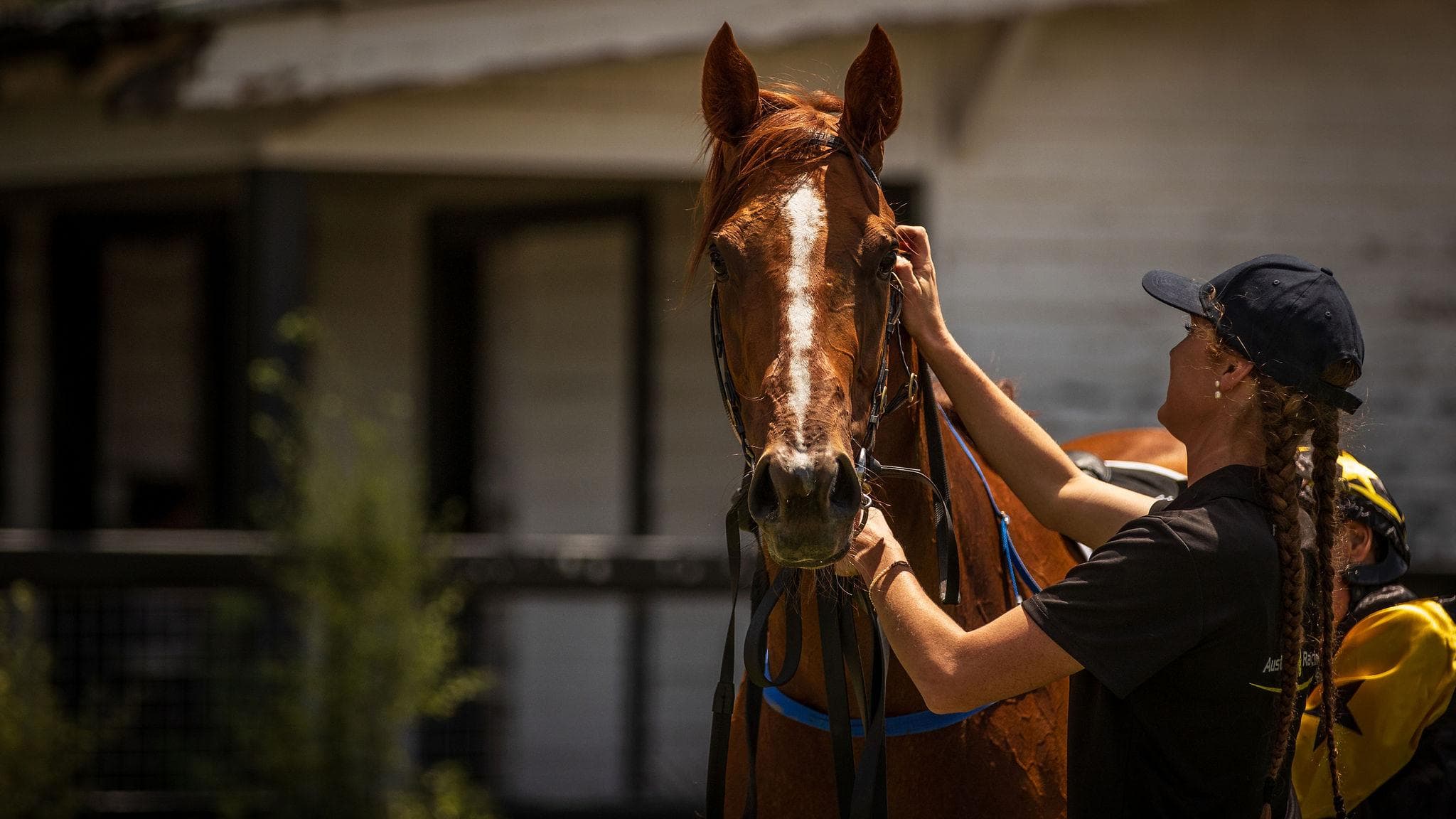 Picture of the author