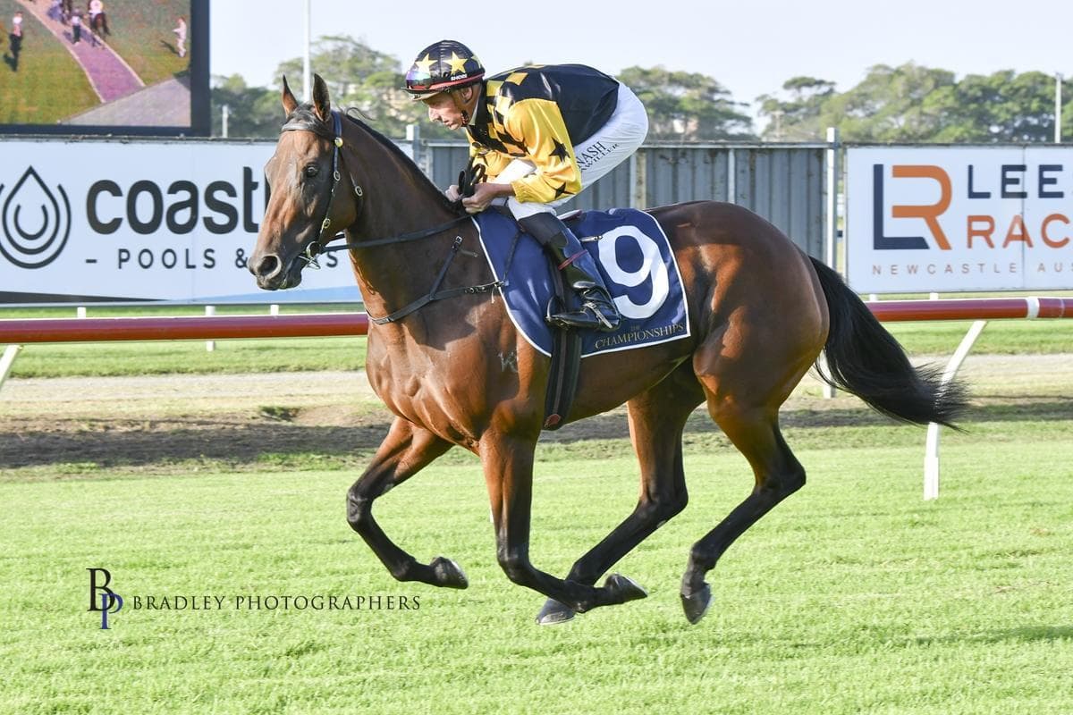 Picture of the author