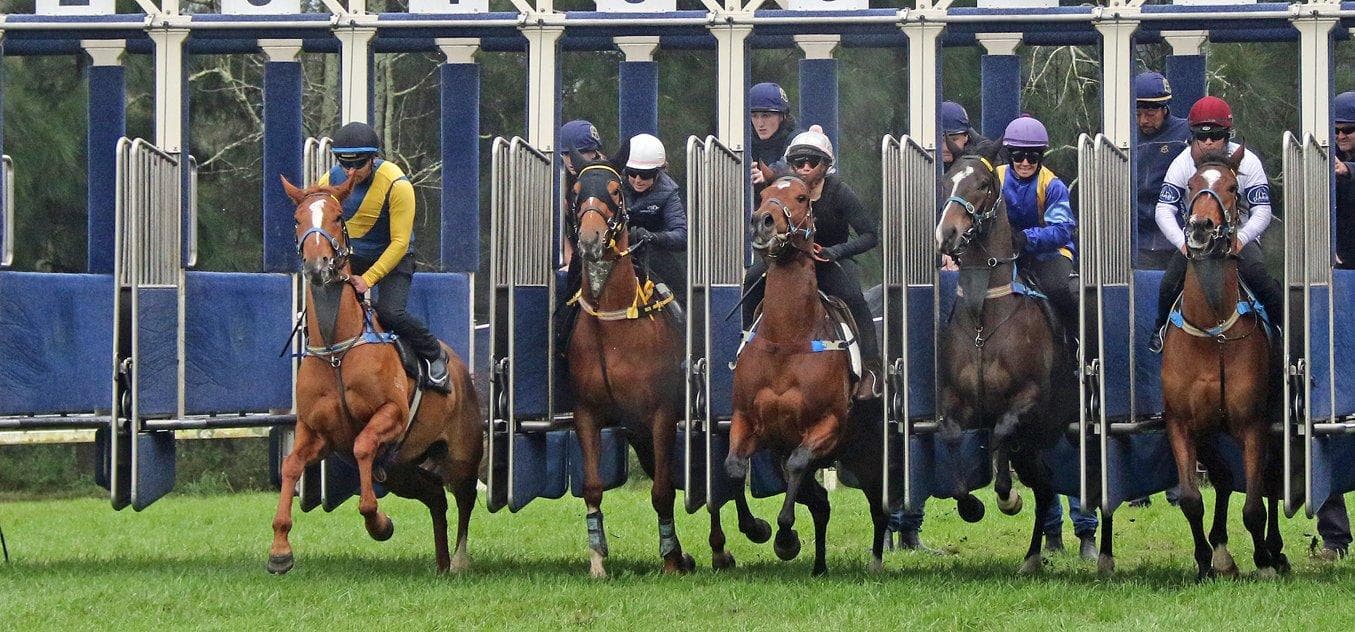 Picture of the author