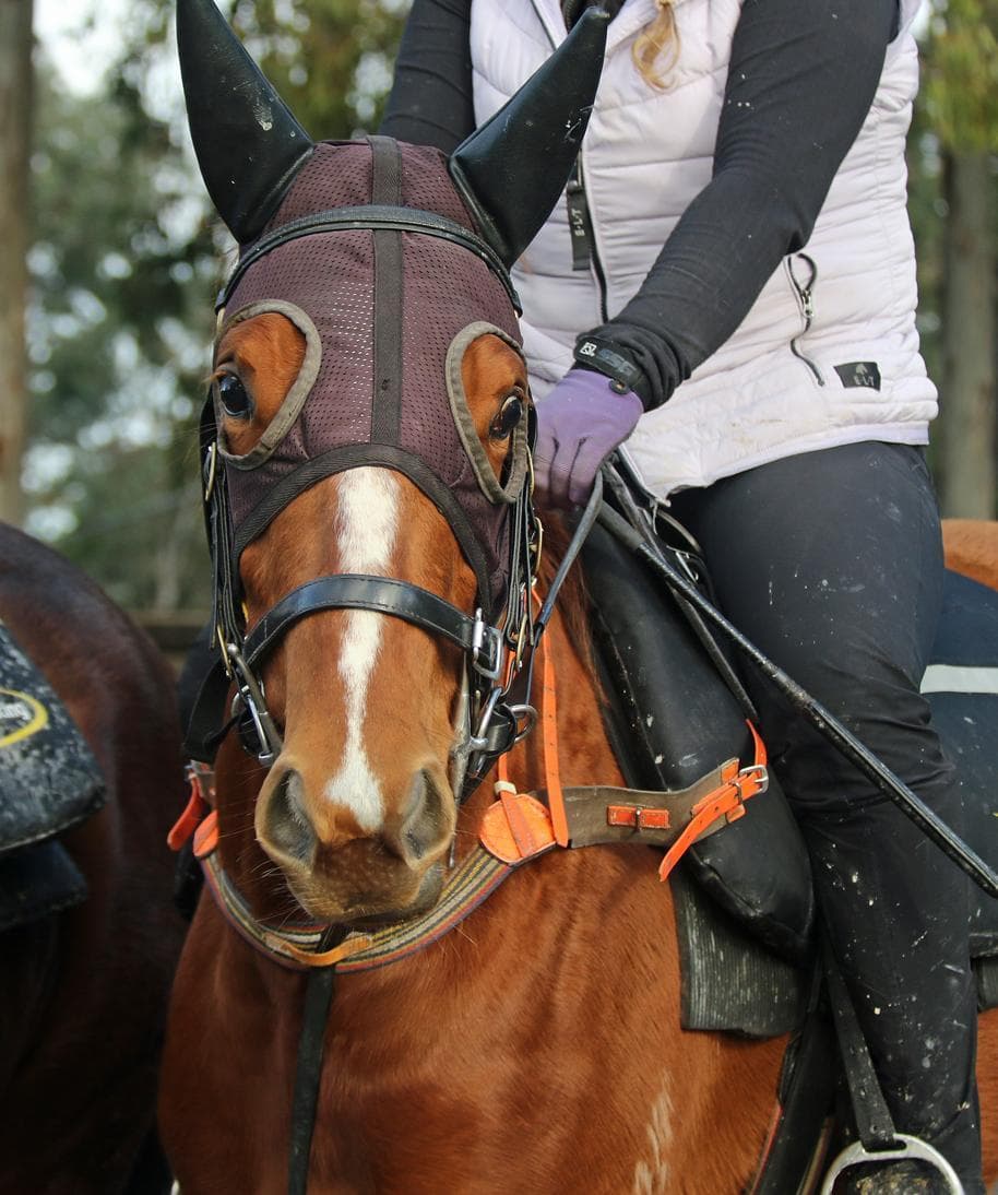 Picture of the author